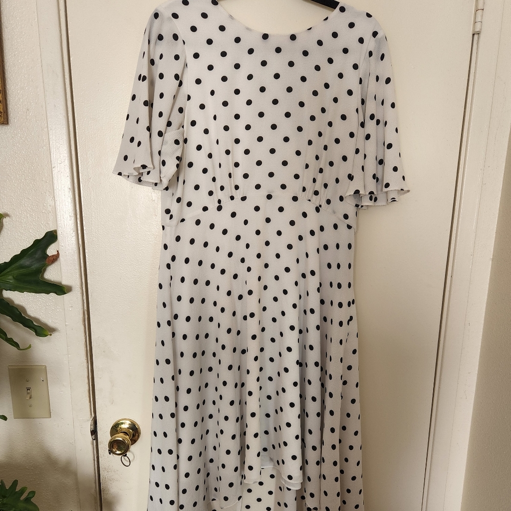 Short Sleeve polka dot Eliza J Dress